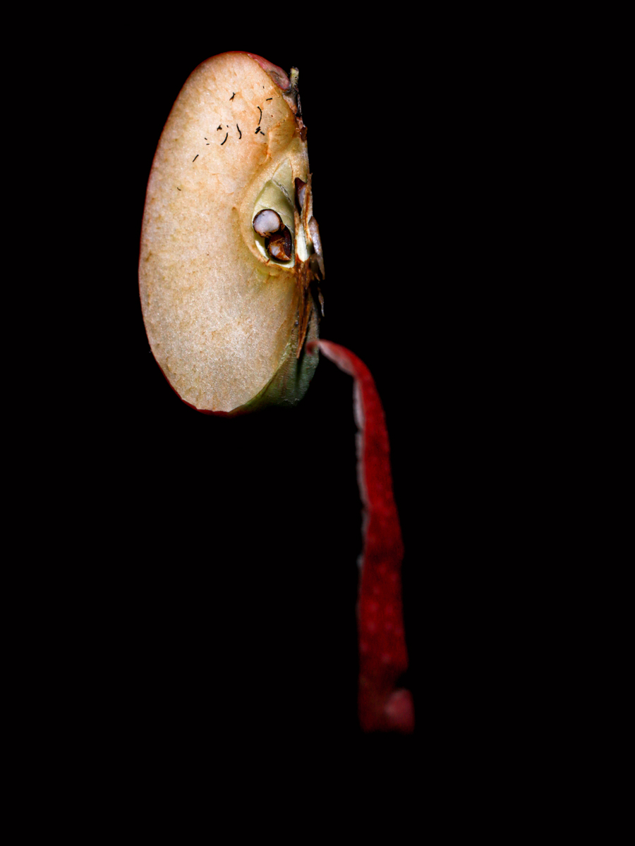 76-2302-Food For Thought1.jpg